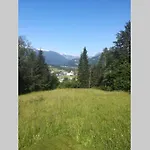 In The Woods - Bohinj