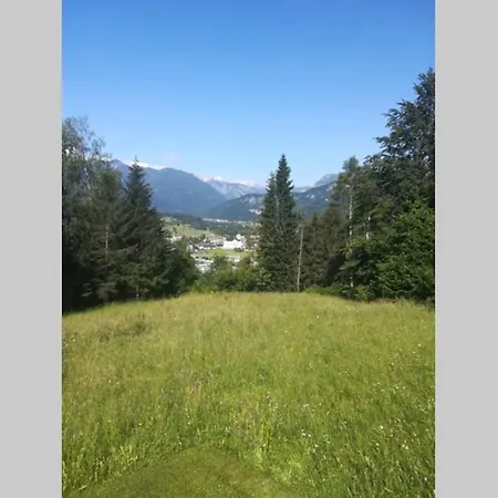 In The Woods - Bohinj