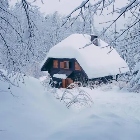 Ferienhaus In The Woods - Bohinj