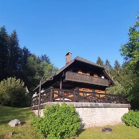 In The Woods - Bohinj