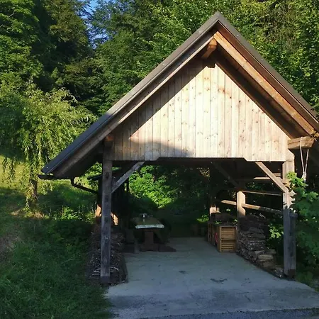 In The Woods - Bohinj