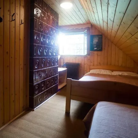 In The Woods - Tatil Evi