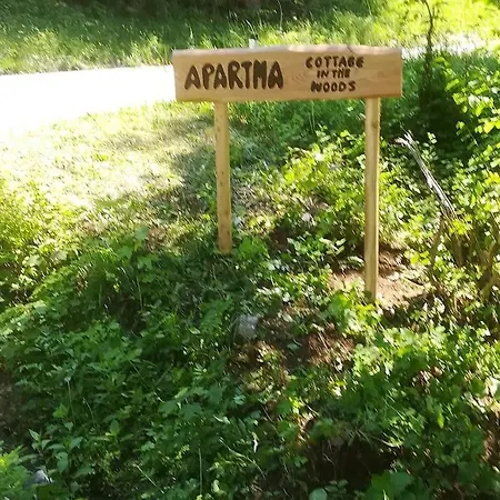 In The Woods - * Bohinj