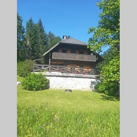 In The Woods - Сasa de vacaciones