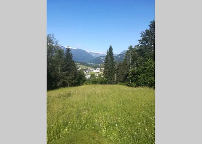 In The Woods - Bohinj