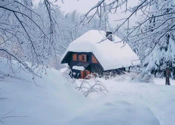 Casa vacanze In The Woods - Bohinj