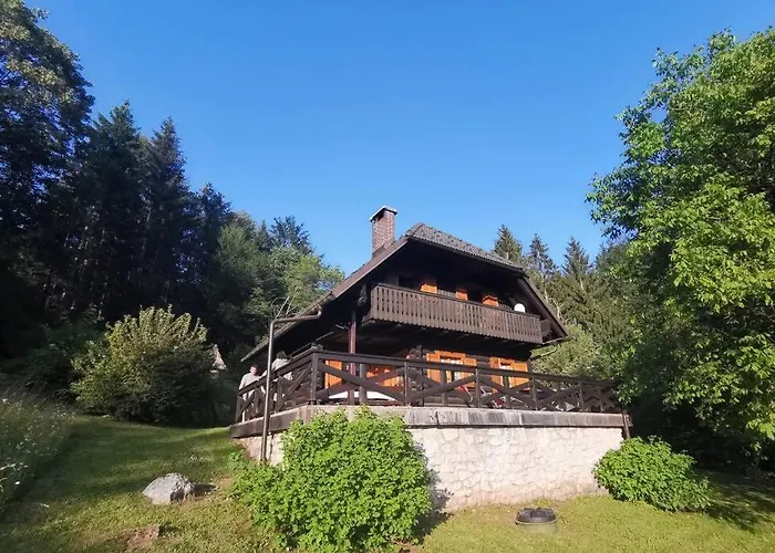 In The Woods - Bohinj