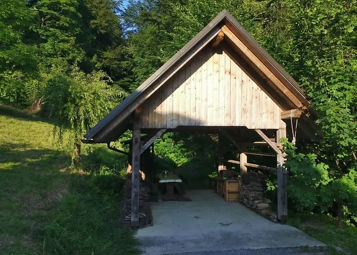 In The Woods - Bohinj