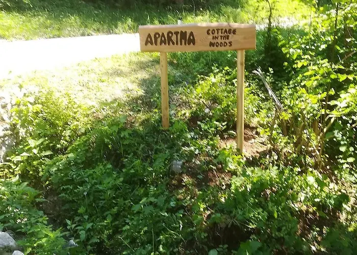 In The Woods - * Bohinj