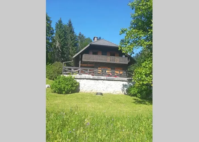 In The Woods - Casa vacanze