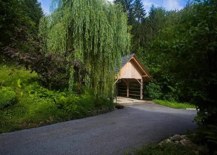 In The Woods - Casa vacanze